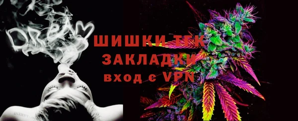 молекула духа Гусиноозёрск