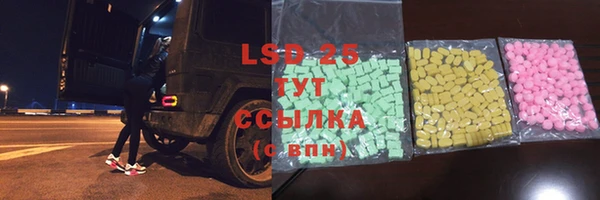 спайс Гусев