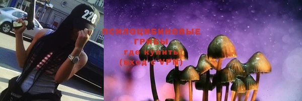 спайс Гусев