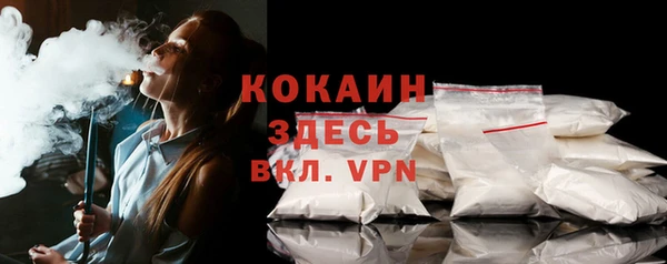 спайс Гусев