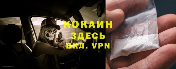 спайс Гусев