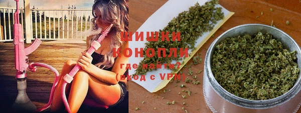 спайс Гусев