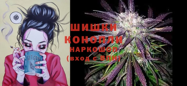 спайс Гусев