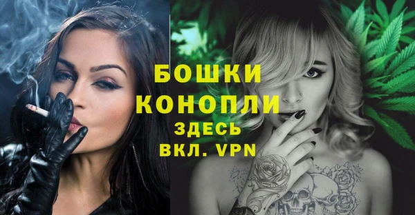 молекула духа Гусиноозёрск