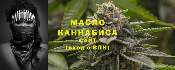молекула духа Гусиноозёрск